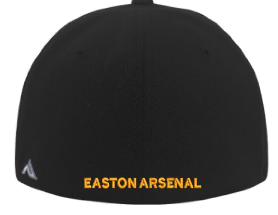 EA Team Hat